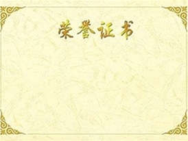 荣誉证书 (3)